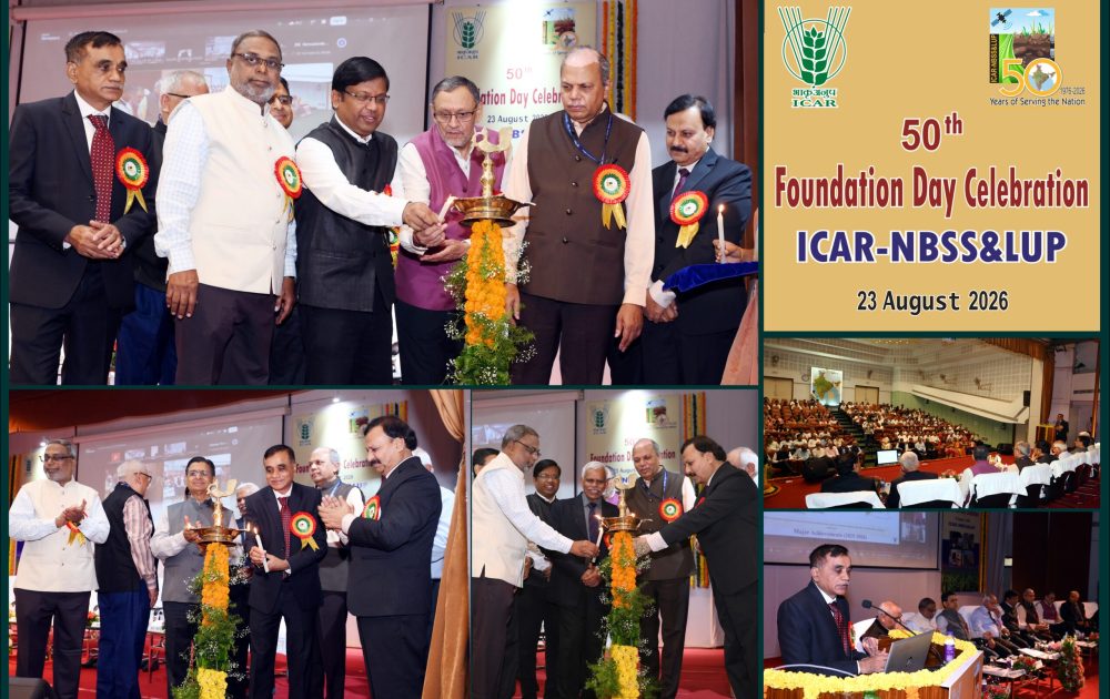 Lighting of lamps by the dignitaries during the celebration of ICAR-NBSS&LUP’s 50th Foundation Day on 23rd August, 2026.