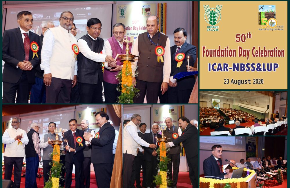 Lighting of lamps by the dignitaries during the celebration of ICAR-NBSS&LUP’s 50th Foundation Day on 23rd August, 2026.