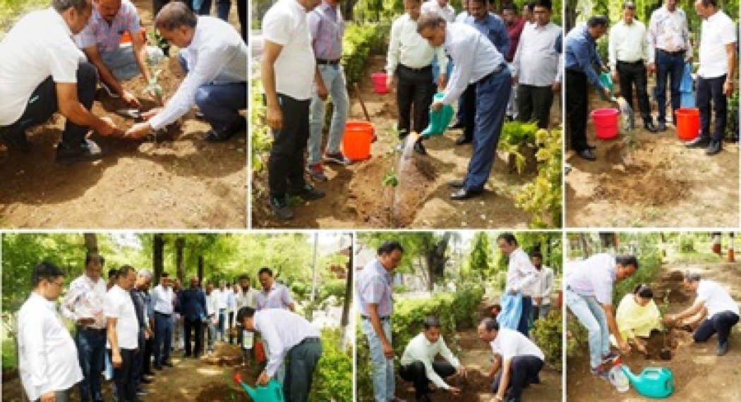 ICAR_FD_2_Plantation