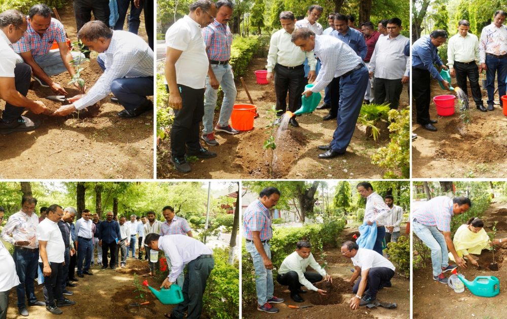 Plantation drive by ICAR-NBSS&LUP on the occasion of ICAR Foundation Day on 16th July, 2026.