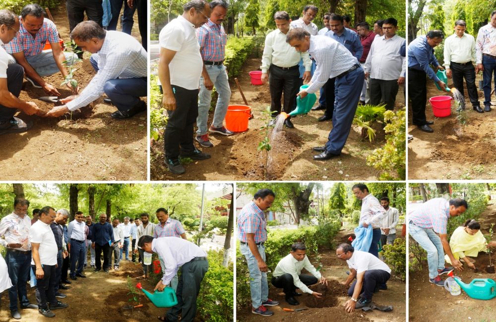 Plantation drive by ICAR-NBSS&LUP on the occasion of ICAR Foundation Day on 16th July, 2026.
