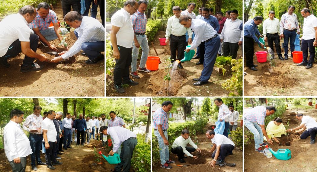 Plantation drive by ICAR-NBSS&LUP on the occasion of ICAR Foundation Day on 16th July, 2026.