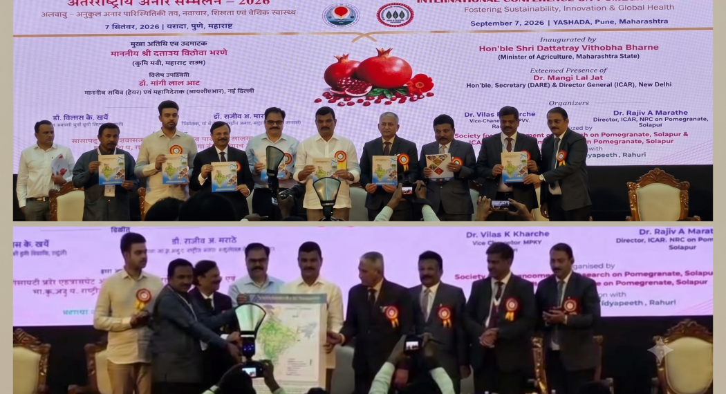 The Pomegranate Suitability Map of India and the report developed jointly by ICAR-NRCP and ICAR-NBSS&LUP were released on 7th September, 2026 at Pune by the Hon’ble Minister of Agriculture, Government of Maharashtra, during the International Conference on Pomegranate.