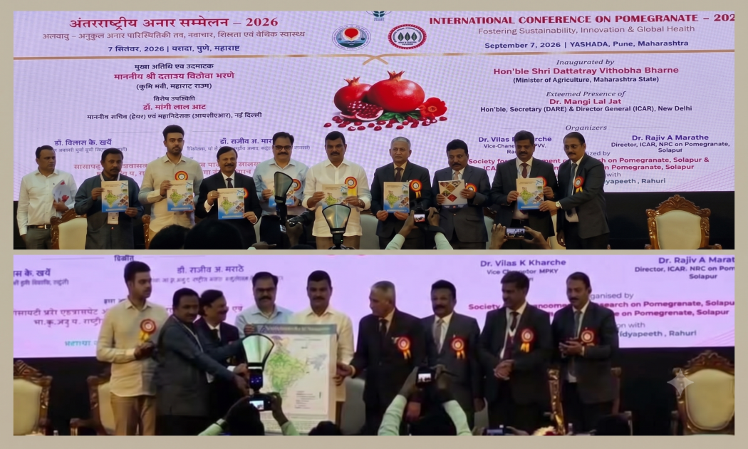 The Pomegranate Suitability Map of India and the report developed jointly by ICAR-NRCP and ICAR-NBSS&LUP were released on 7th September, 2026 at Pune by the Hon’ble Minister of Agriculture, Government of Maharashtra, during the International Conference on Pomegranate.