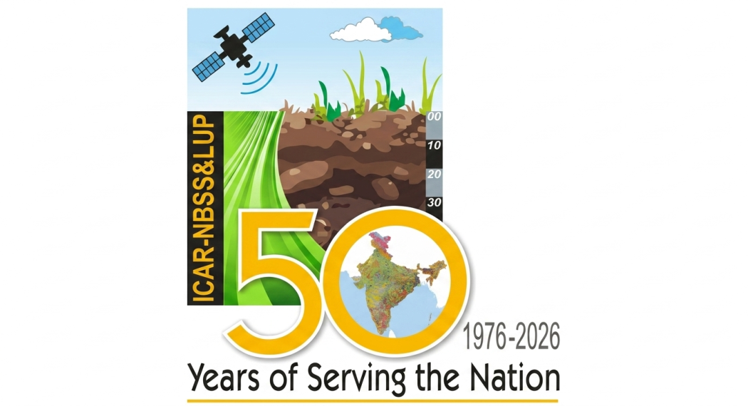 NbssLup_Golden_Jubilee_Edited