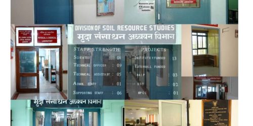 SRS-Photo2016-About Division SRS-Photo2016-About Division