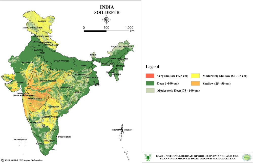 Digital Soil Depth Map of India with 90m Spatial Resolution